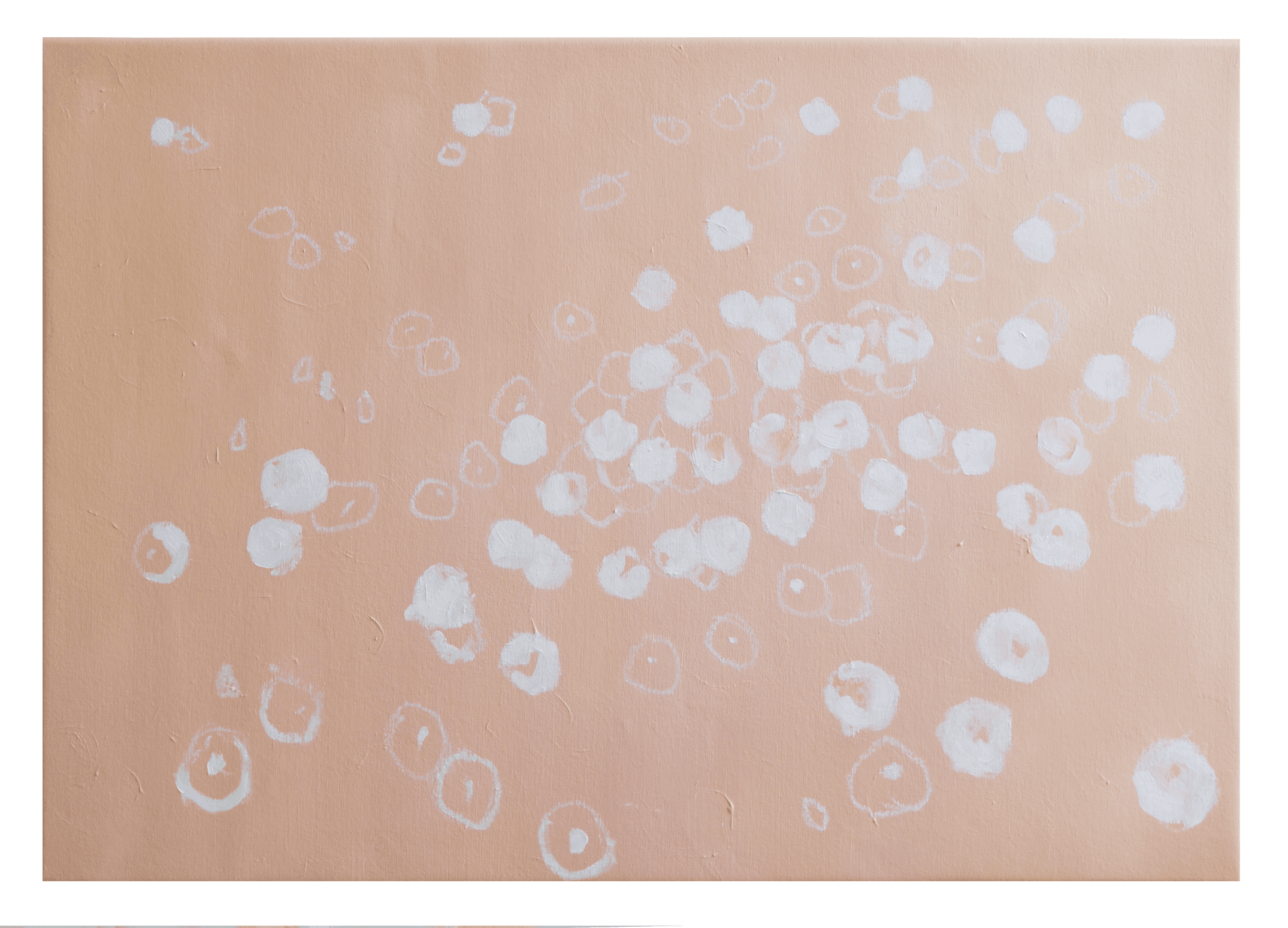 Dandelions #15 — image 1